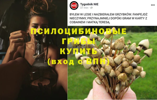 дживик Беломорск