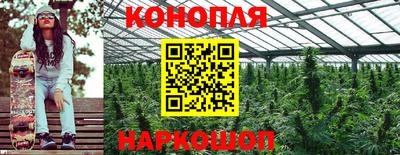 прущие крисы Можайск