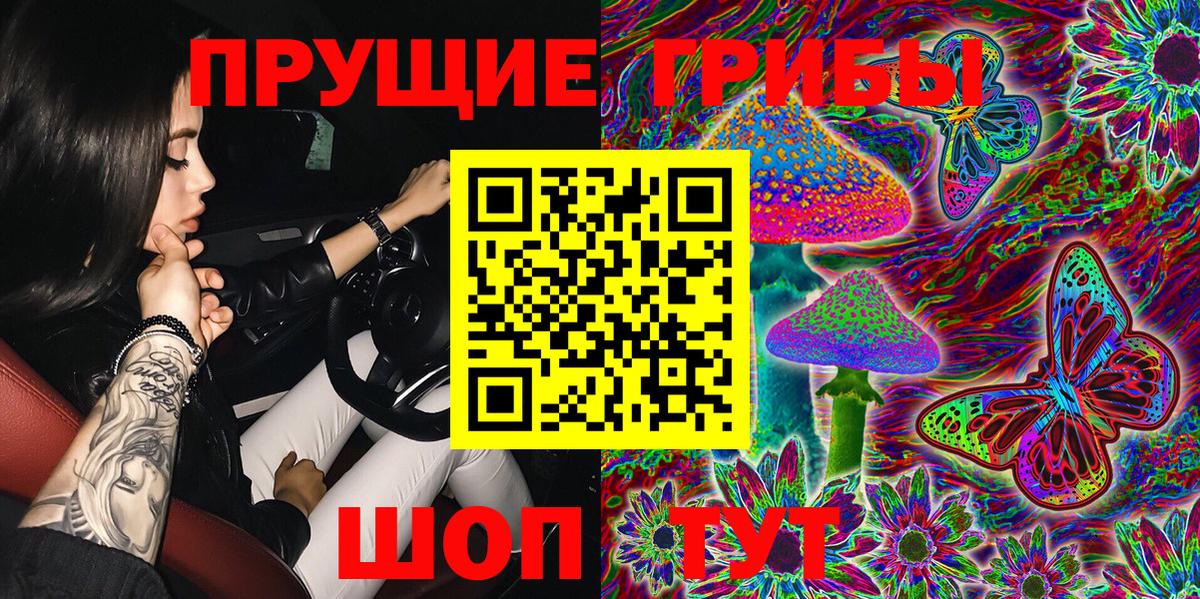 Буйнакск  Галлюциногенные грибы GOLDEN TEACHER  дарнет шоп  Галлюциногенные грибы Magic Shrooms  Вход с VPN 